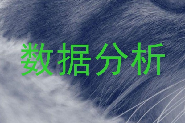 数据分析
