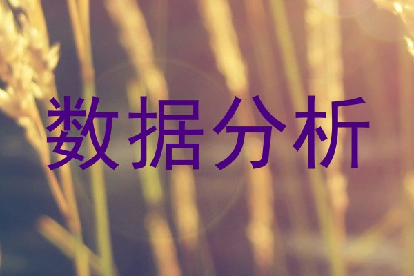 数据分析