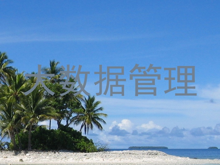 大数据管理