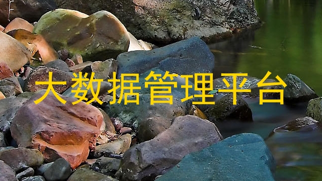 大数据管理平台