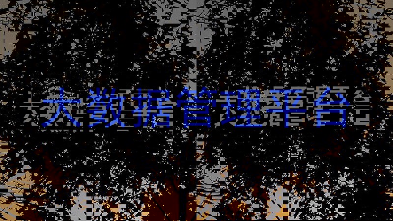 大数据管理平台