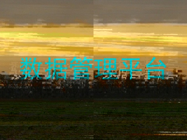 数据管理平台