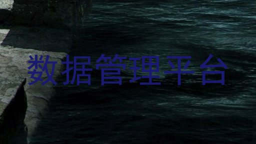 数据管理平台