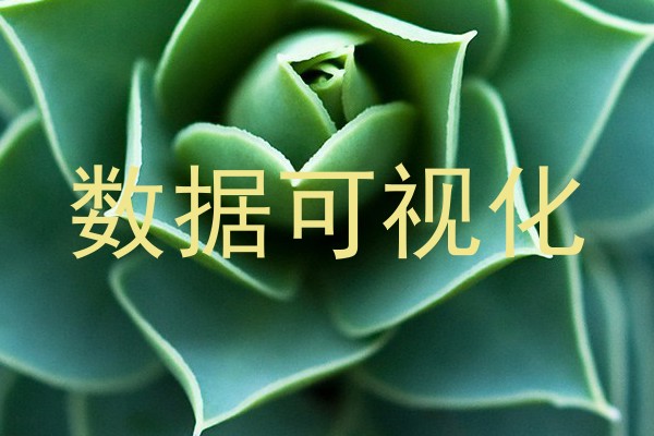 数据可视化