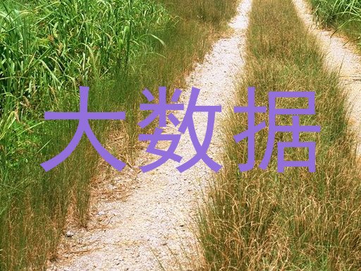 大数据