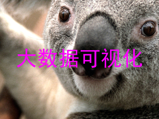 大数据可视化