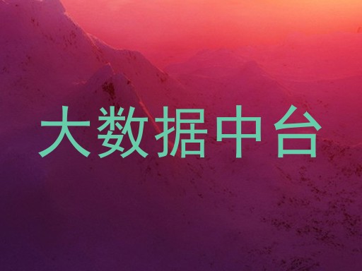 大数据中台