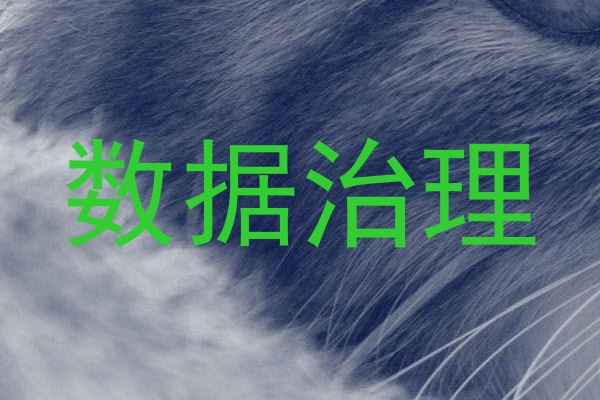 数据治理