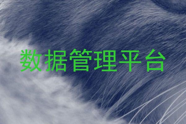 数据管理平台