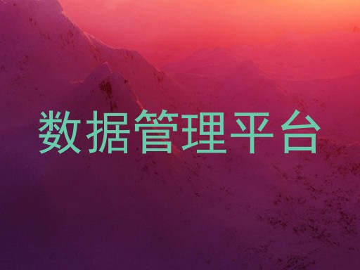 数据管理平台