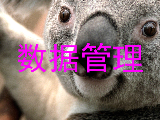 数据管理
