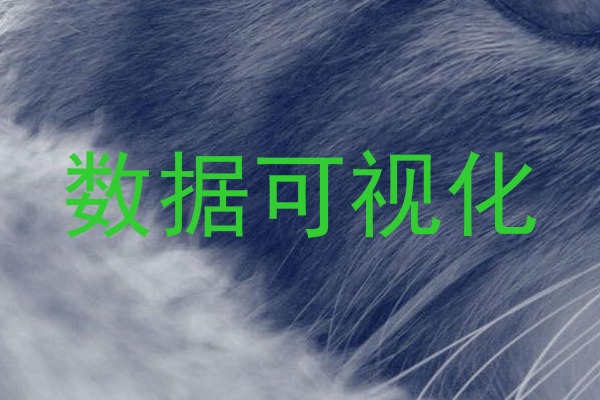 数据可视化