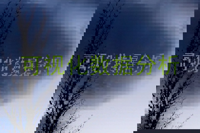 可视化数据分析