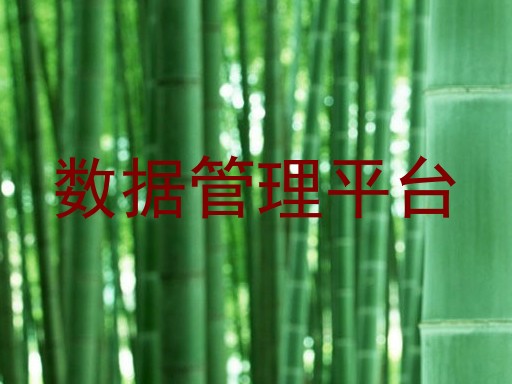 数据管理平台