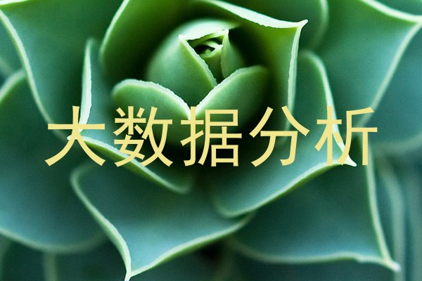 大数据分析