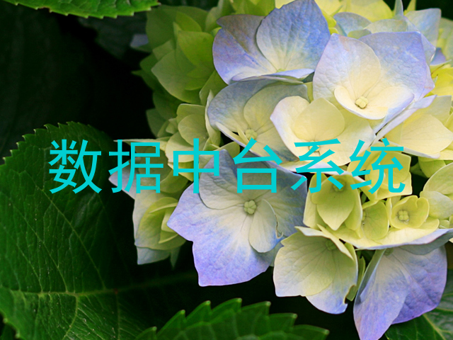 数据中台系统