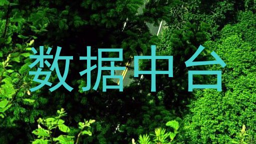 数据中台