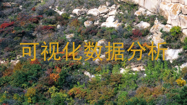 可视化数据分析