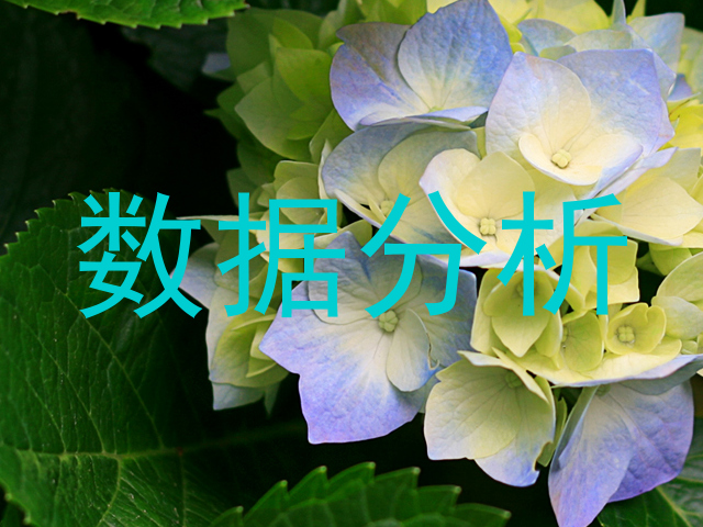 数据分析