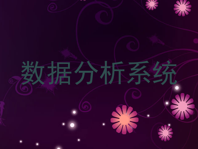 数据分析系统