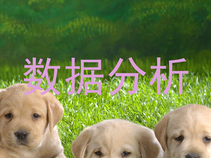 数据分析