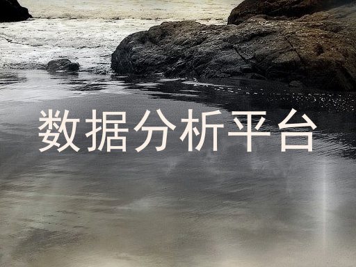 数据分析平台