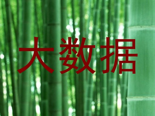 大数据