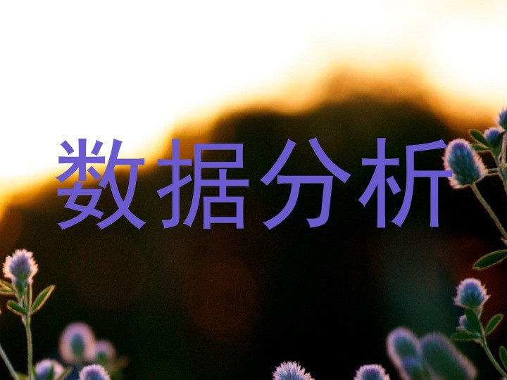 数据分析