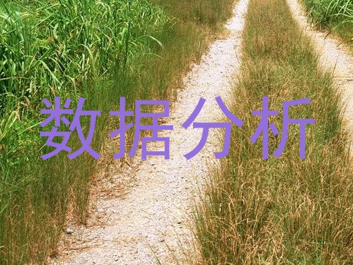 数据分析