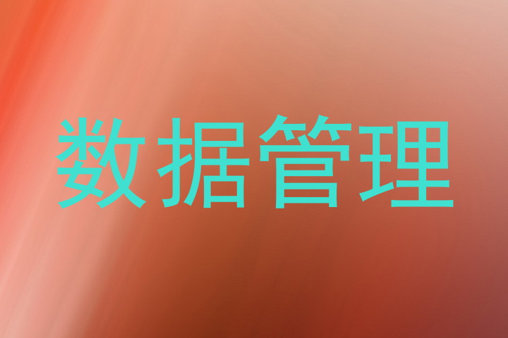 数据管理