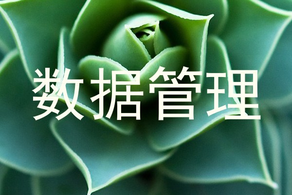 数据管理