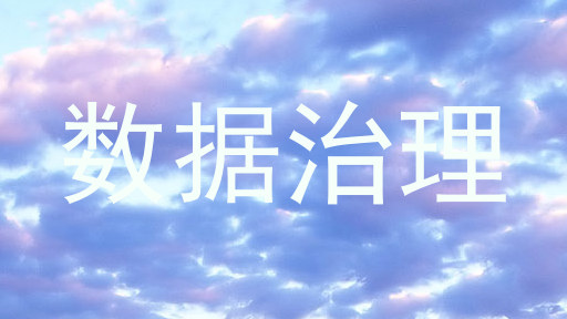 数据治理