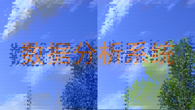 数据分析系统