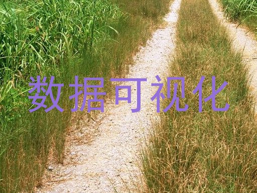 数据可视化