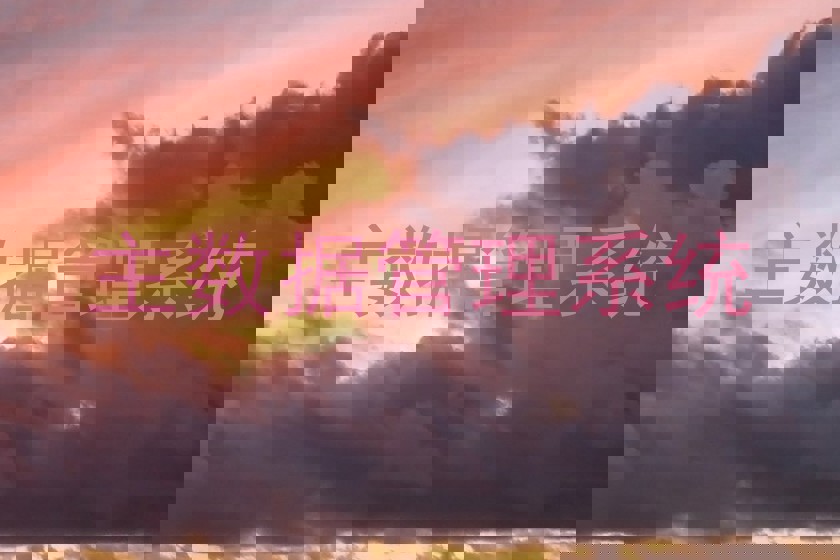 主数据管理系统