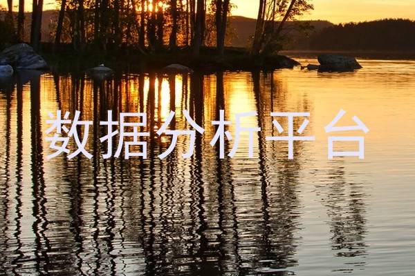 数据分析平台