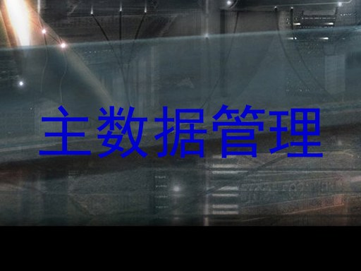 主数据管理