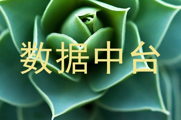 数据中台