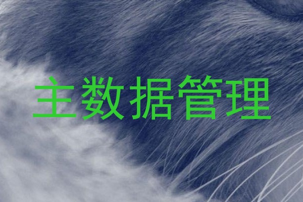 主数据管理
