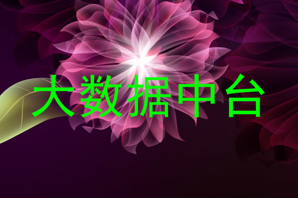 大数据中台