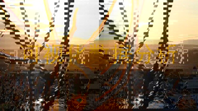 可视化数据分析