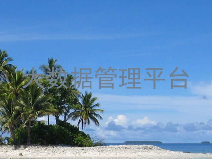 大数据管理平台