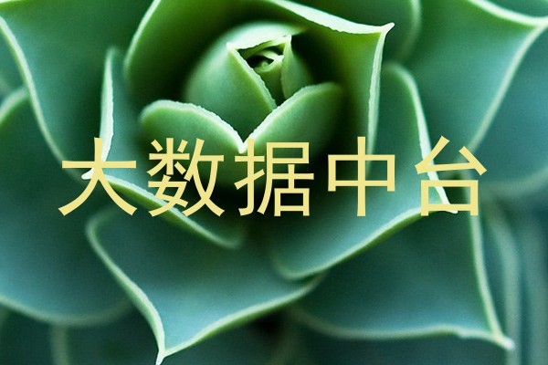 大数据中台