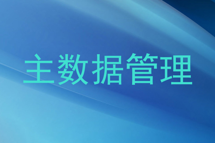 主数据管理