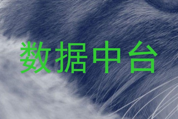 数据中台