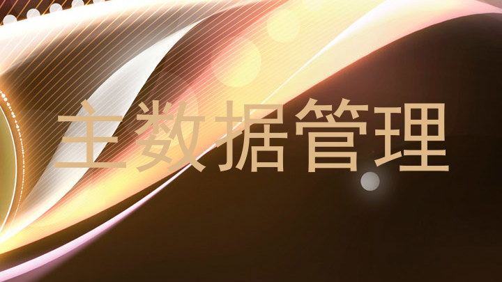 主数据管理