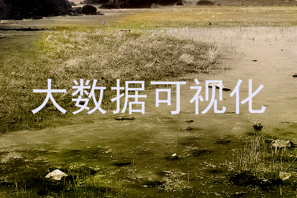大数据可视化
