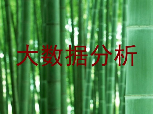 大数据分析