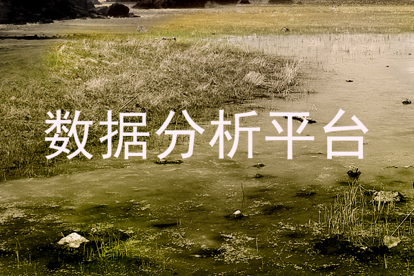 数据分析平台