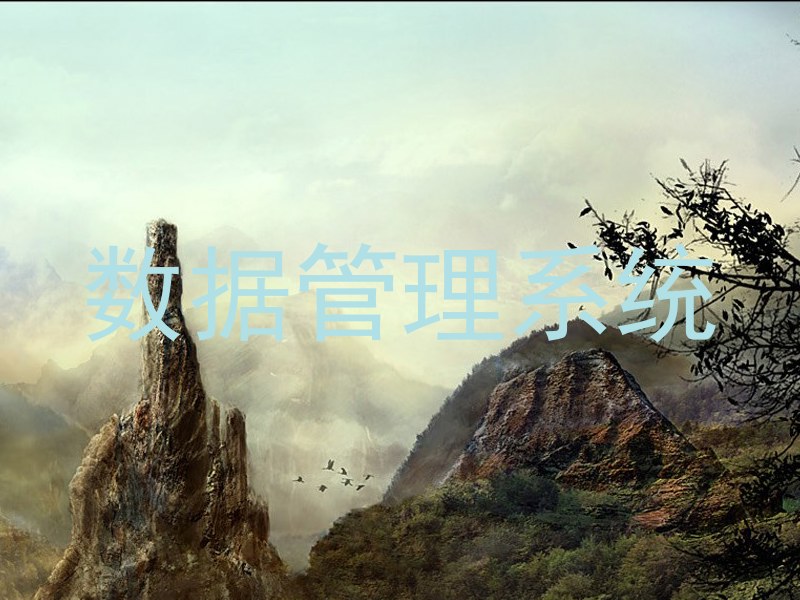 数据管理系统
